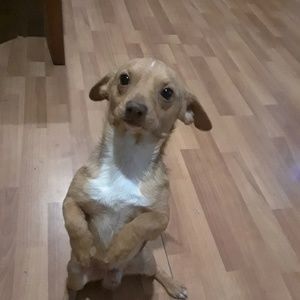 Meet your Posher, Malachi